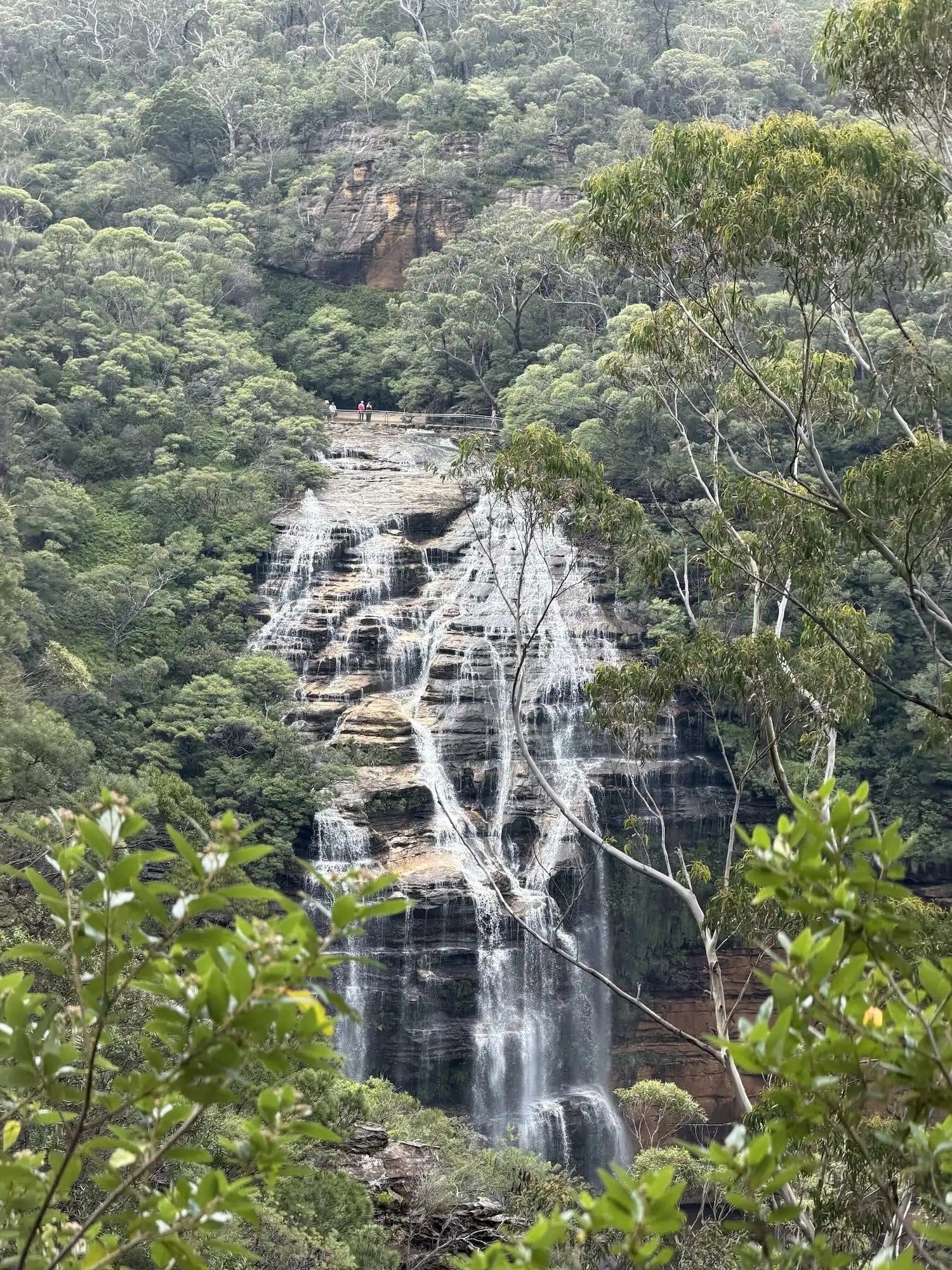 Blue Mountains Day Trip